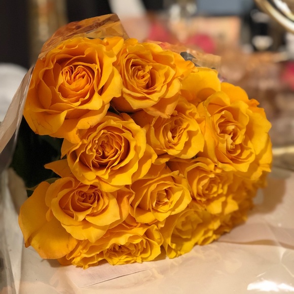 Meet your Posher, Jesh - Picture 2 of 6